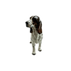 Royal Doulton Springer Spaniel Ch. 'Dry Toast' HN 2515 + Montreal Estate Jewelers