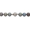 Daisy Exclusive Multi-Colored Graduated Tahitian Pearl Necklace + Montreal Estate Jewelers